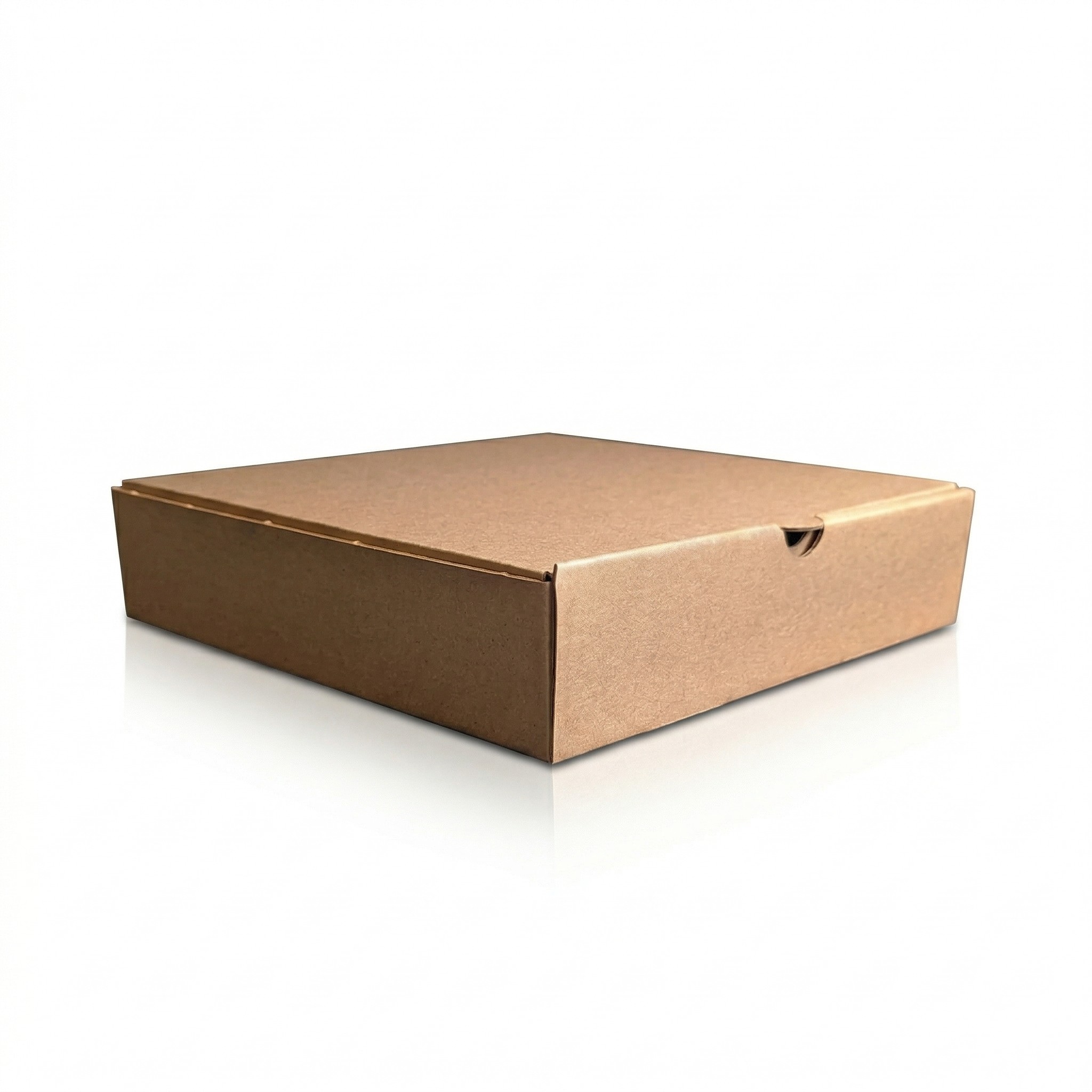 Plain Brown Pizza Box